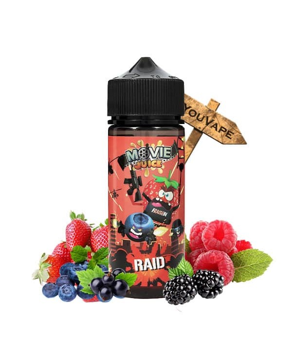 Raid 100ml
