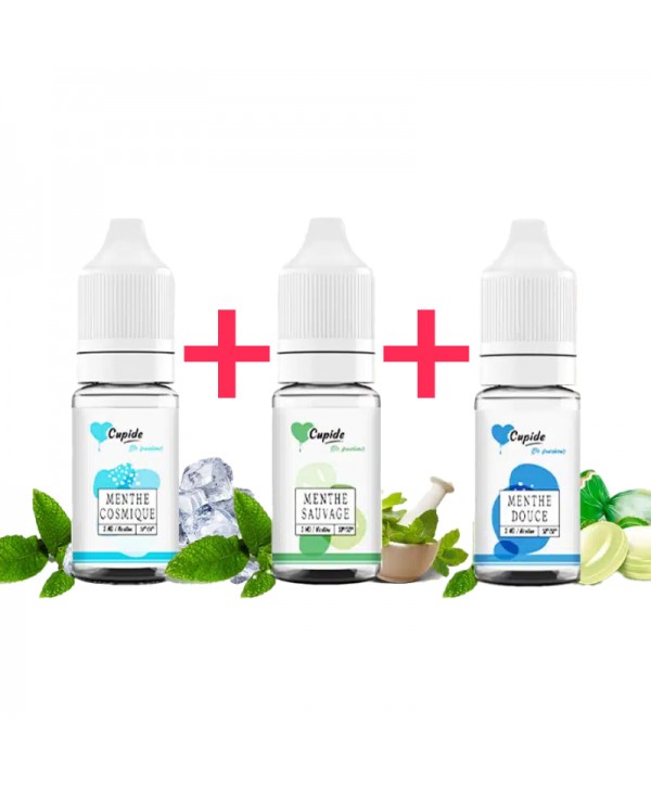 Pack E Liquides Menthe Découverte