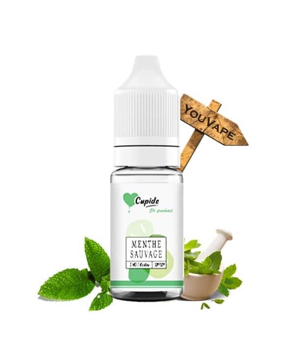 Menthe Sauvage