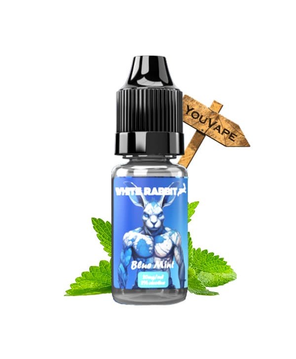 Blue Mint Salt