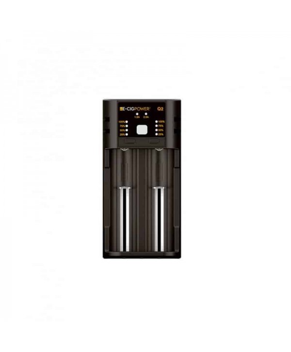 Chargeur 2 Accus C2