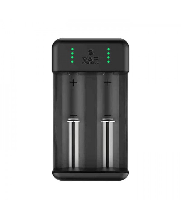 Chargeur 2 Accus VPC2