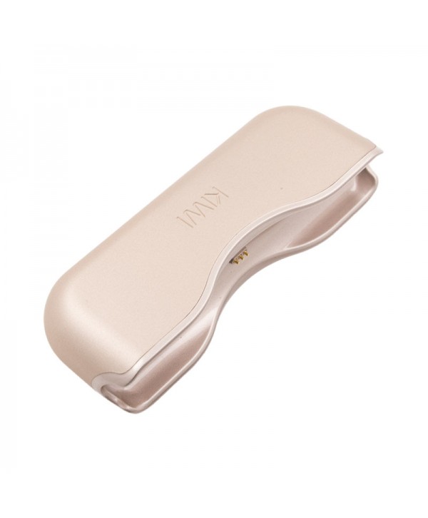Kiwi Power Bank