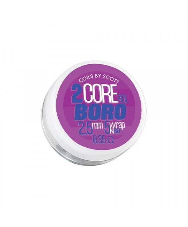 Pack 2 Coils 2-Core Boro Alien Ni80 0.35Ω